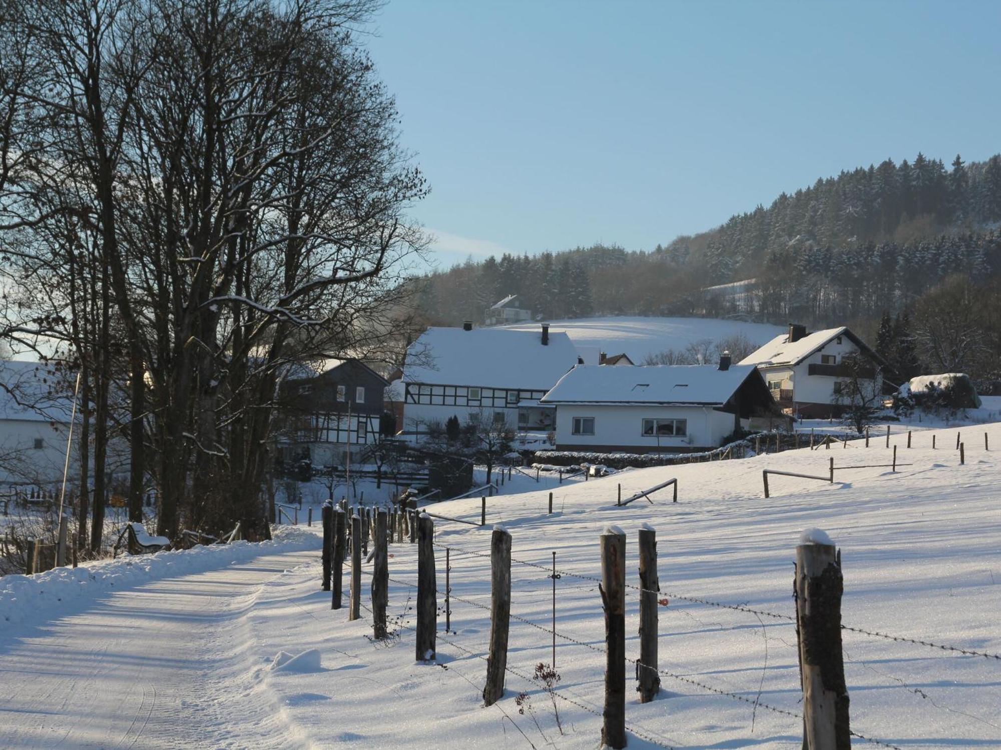 Home In Wissinghausen With Private Sauna Медебах Екстериор снимка